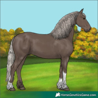 Horse Color:Silver Black Tobiano 