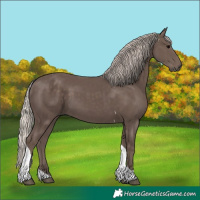 Horse Color:Silver Black Tobiano 