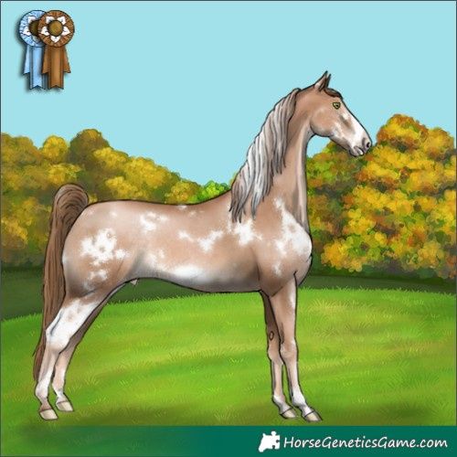Horse Color:White Spotted Liver Chestnut Pearl Frame Rabicano