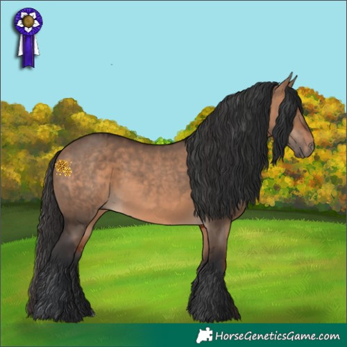 Horse Color:Bay Dun  and Bay Dun 