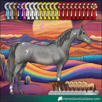 Horse Color:White Spotted Black Tobiano Varnish Rabicano 