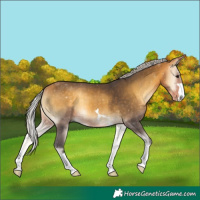 Horse Color:Silver Buckskin Onyx 