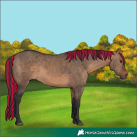 Horse Color:Painted Brown Dun 