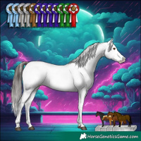 Horse Color:White Spotted Brown Dun Appaloosa Rabicano 