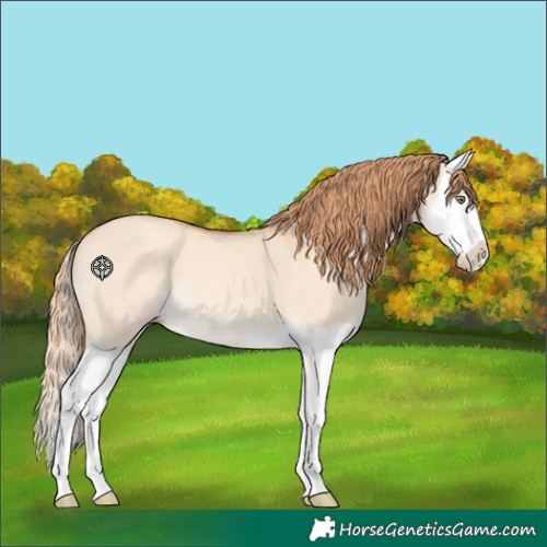 Horse Color:White Spotted Gold Champagne Dun Splash 