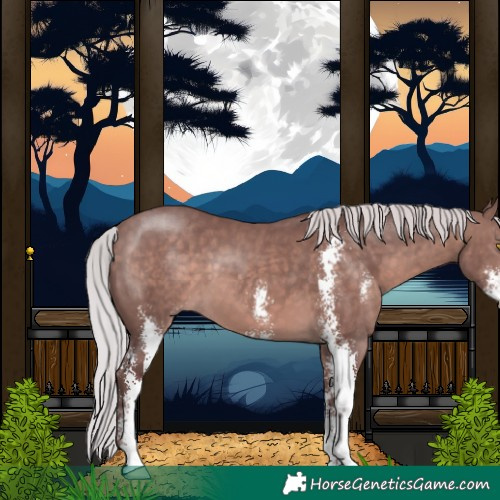 Horse Color:Platinum Chocolate Silver Brown Sabino