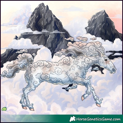 Horse Color:White Spotted Bay Roan Frame 