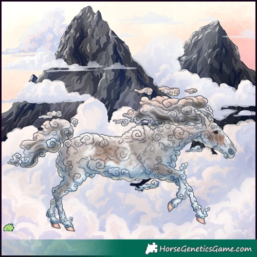 Horse Color:White Spotted Bay Roan Frame 