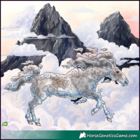 Horse Color:White Spotted Bay Roan Frame 