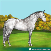 Horse Color:Gray Platinum Buckskin Pearl Mushroom Tobiano Appaloosa 