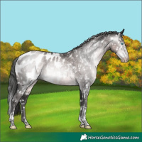 Horse Color:Gray Platinum Buckskin Pearl Mushroom Tobiano Appaloosa 