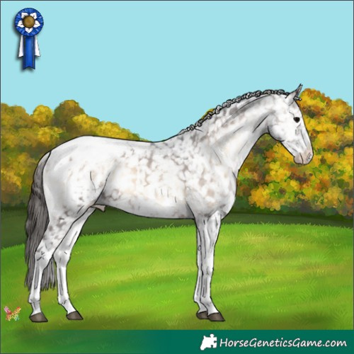 Horse Color:Brown Onyx Sabino Tobiano Appaloosa 