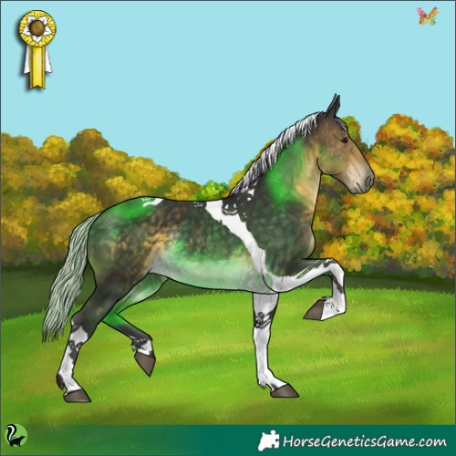 Horse Color:Silver Buckskin Tobiano 