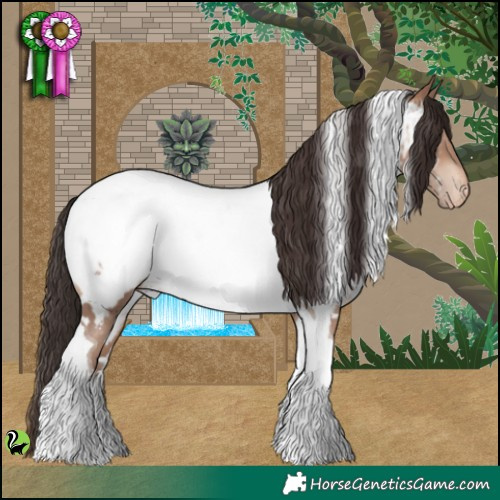Horse Color:White Spotted Sable Champagne Tobiano Appaloosa 