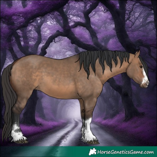 Horse Color:Brown Dun 