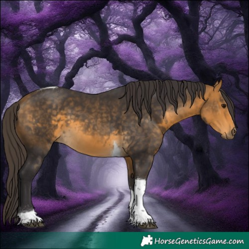 Horse Color:Buckskin Tobiano 