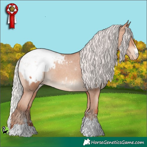 Horse Color:Silver Sable Champagne Appaloosa 