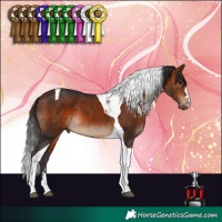 Horse Color:Bay Tobiano 
