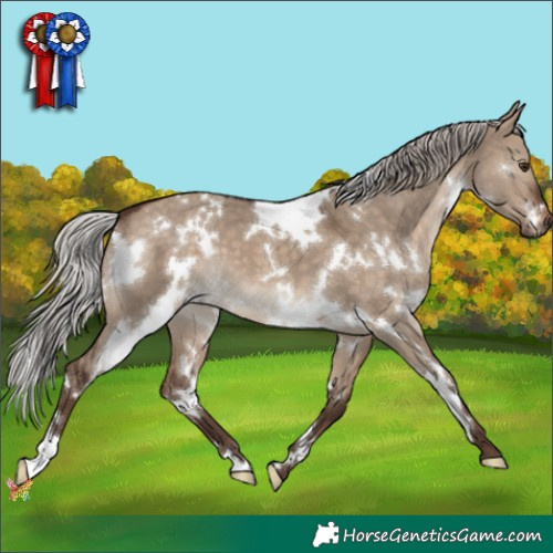 Horse Color:White Spotted Silver Brown Dun 