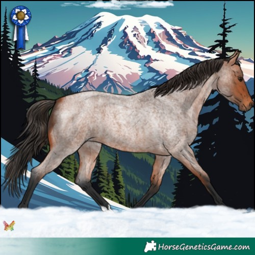 Horse Color:Bay Roan 