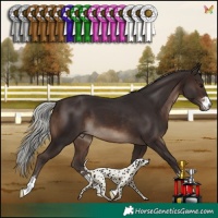 Horse Color:Silver Brown 