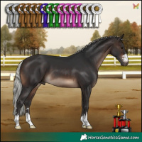 Horse Color:Silver Brown 