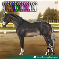 Horse Color:Silver Brown