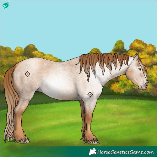 Horse Color:Gray Gold Champagne Roan 