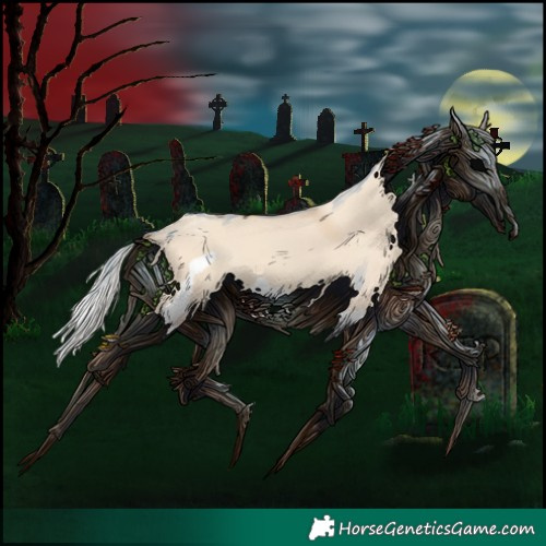 Horse Color:Silver Classic Champagne Dun Splash Frame 
