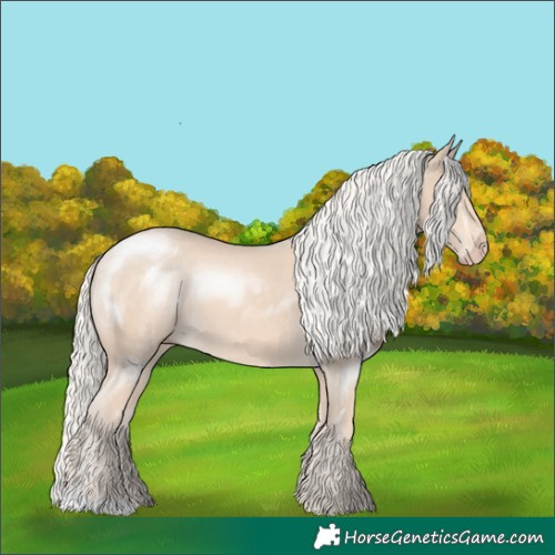 Horse Color:Cremello 