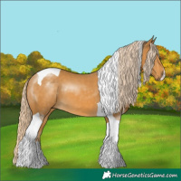 Horse Color:Palomino Tobiano 