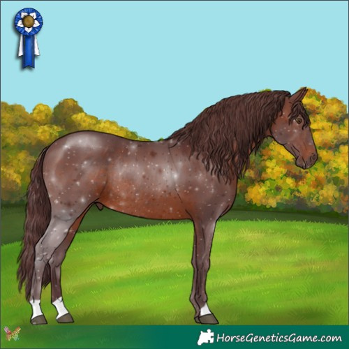 Horse Color:Chocolate Brown Rabicano 