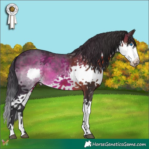 Horse Color:White Spotted Brown Splash 