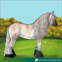 Horse Color:Void Plaid  Silver Bay Ice Onyx Sabino 