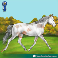 Horse Color:Watercolor Bay Splash Tobiano Varnish