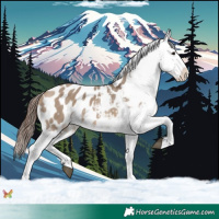 Horse Color:Bay Dun Sabino Appaloosa