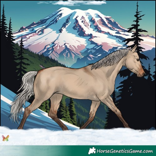 Horse Color:Silver Brown Dun Rabicano 