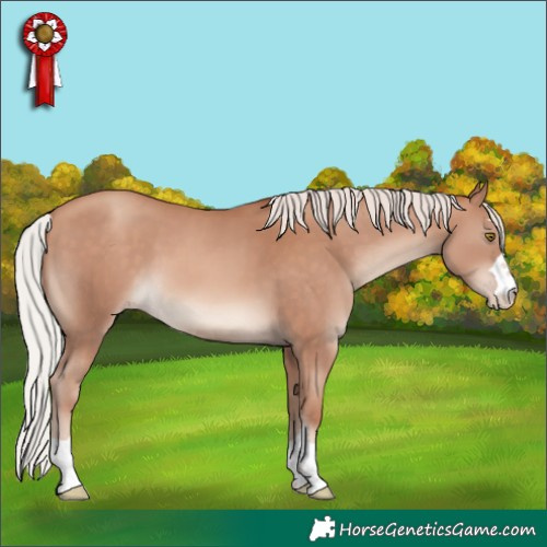 Horse Color:Silver Sable Champagne