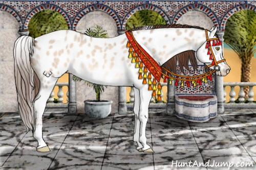 Horse Color:Sable Champagne Dun Splash Appaloosa 