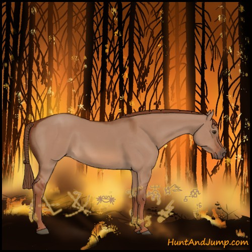 Horse Color:Red Dun 