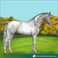 Horse Color:Silver Smoky Black Tobiano Snowflake Varnish