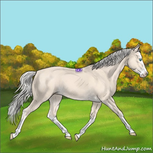 Horse Color:Cremello Splash  and Cremello Splash 