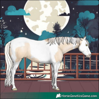 Horse Color:Silver Bay Pearl Dun Splash Tobiano