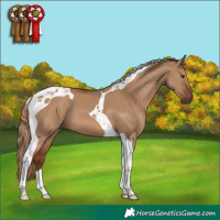Horse Color:Red Dun Tobiano 