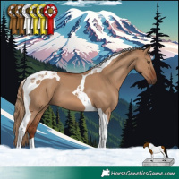 Horse Color:Red Dun Tobiano 