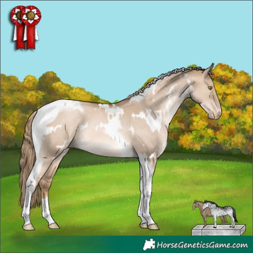 Horse Color:White Spotted Liver Red Dun Pearl Tobiano Appaloosa 