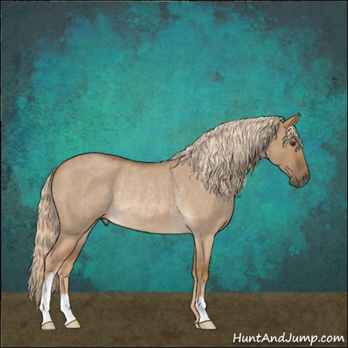 Horse Color:Chocolate Palomino Roan Dun Rabicano 