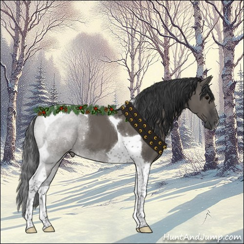 Horse Color:Grullo Tobiano 