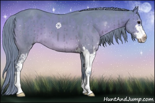 Horse Color:Watercolor Brown Dun Sabino Brindle 