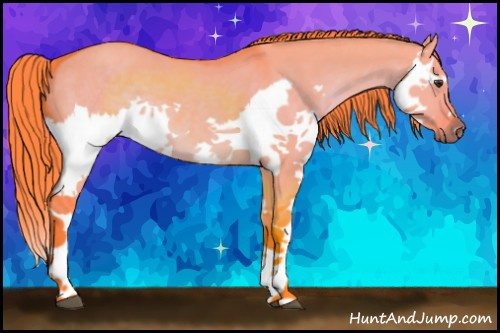 Horse Color:Watercolor Liver Red Dun Splash